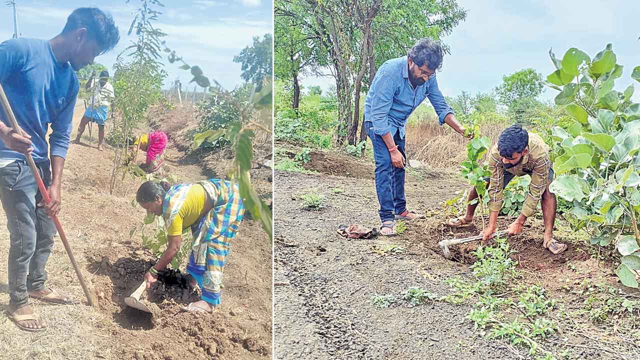 హరితోద్యమం