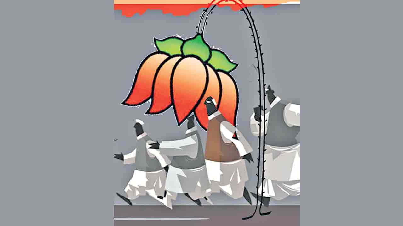 ఉట్టికి ఎగరలేనమ్మ..