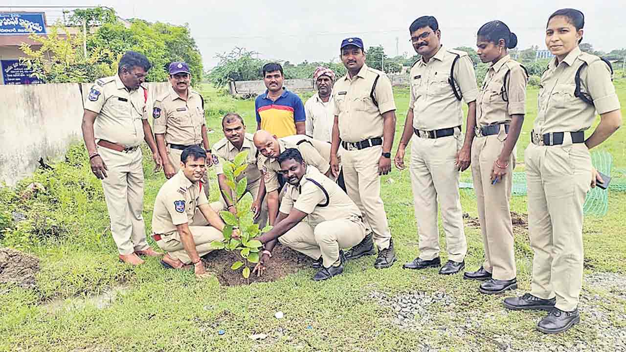 పాఠశాలల్లో హరితహారం