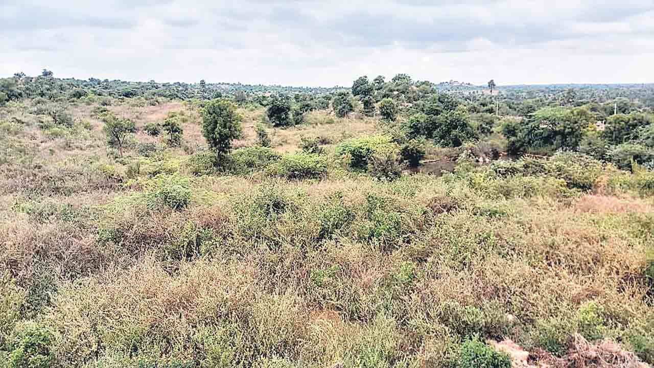 పరిహారం ఇచ్చేశారు..