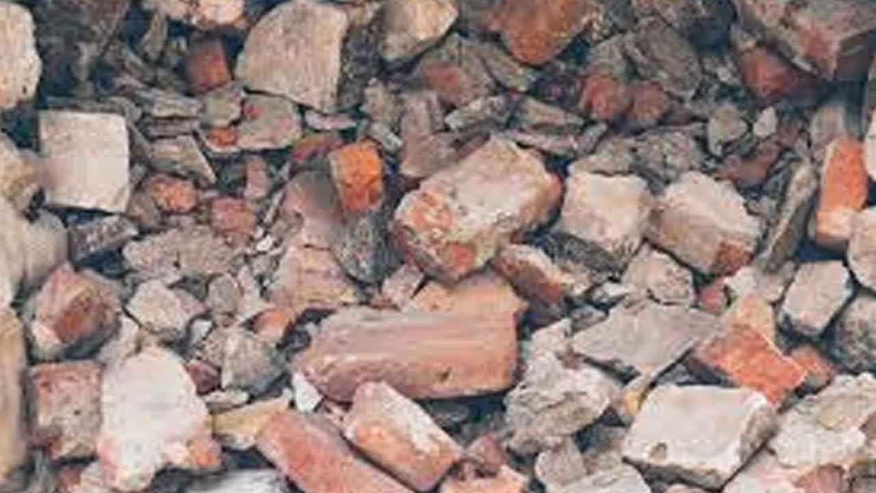 గోడ కూలి నానమ్మ, మనవడు మృతి