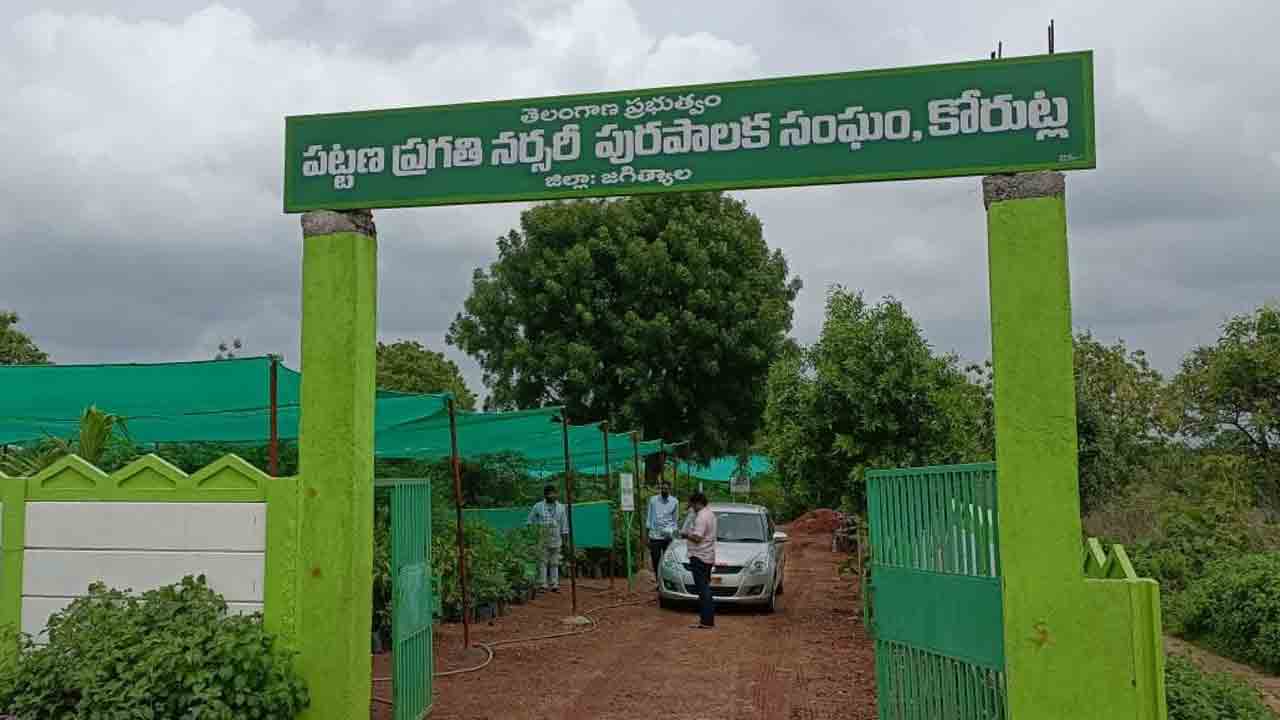 నర్సరీలు సిద్ధమైనయ్‌..