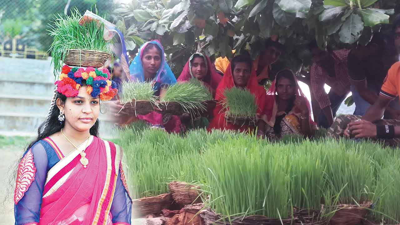 గిరిజన సంప్రదాయానికి ప్రతీక తీజ్‌