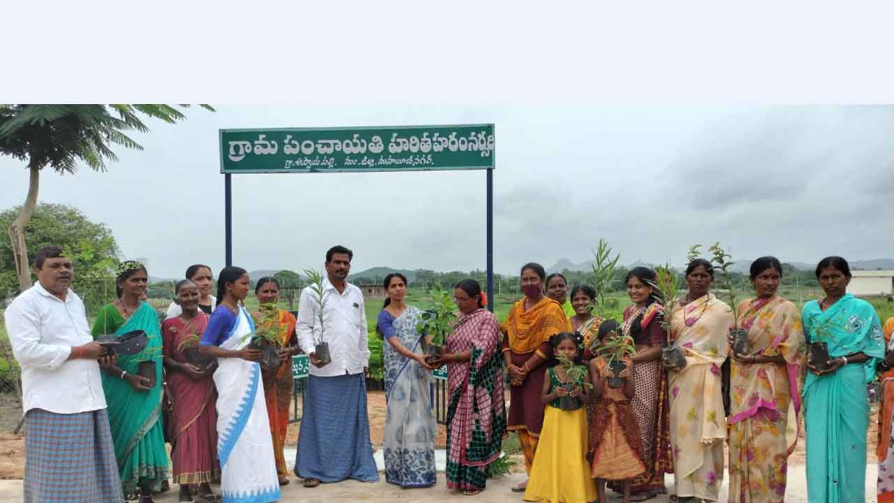 మొక్కల పెంపకం అందరి బాధ్యత