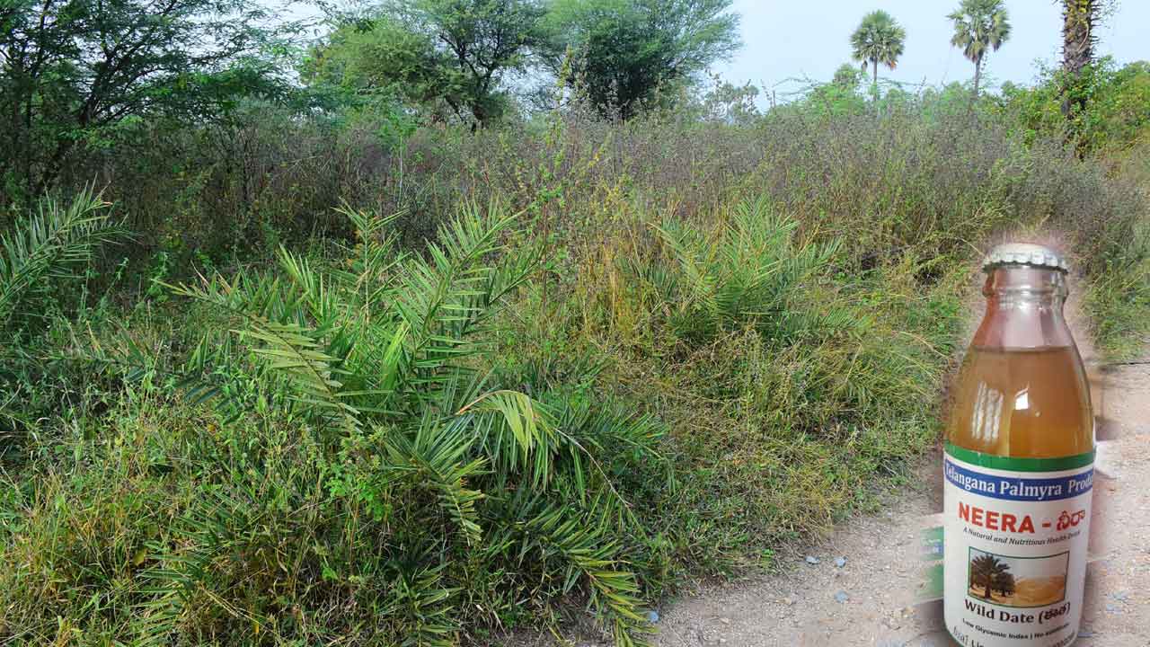 నందనంలో నీరా కేంద్రం