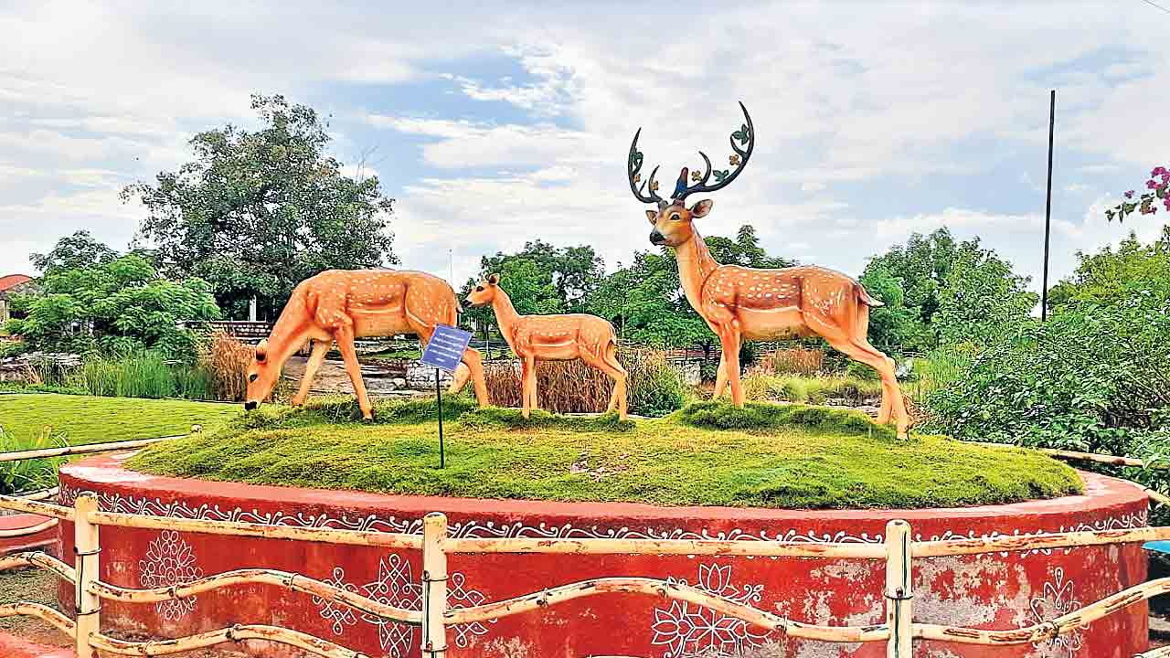 జీవవైవిధ్యంతో థీమ్‌ పార్కులు