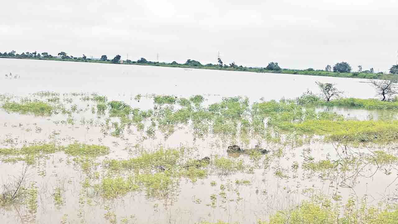 మండలాల్లో జోరుగా వర్షం