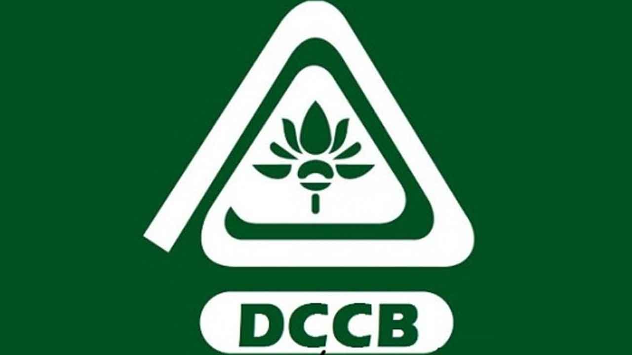 బలమైన స్థాయికి డీసీసీబీ