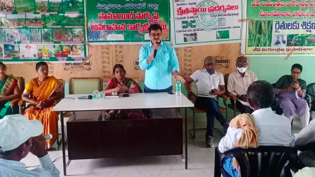 ఆయిల్‌పామ్‌ సాగుతో ఆర్థిక పరిపుష్టి