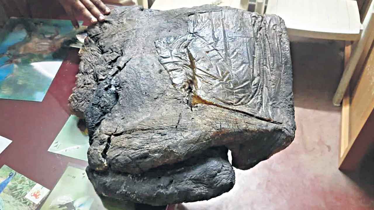 కేరళ జాలర్లకు అనూహ్య ‘నిధి’