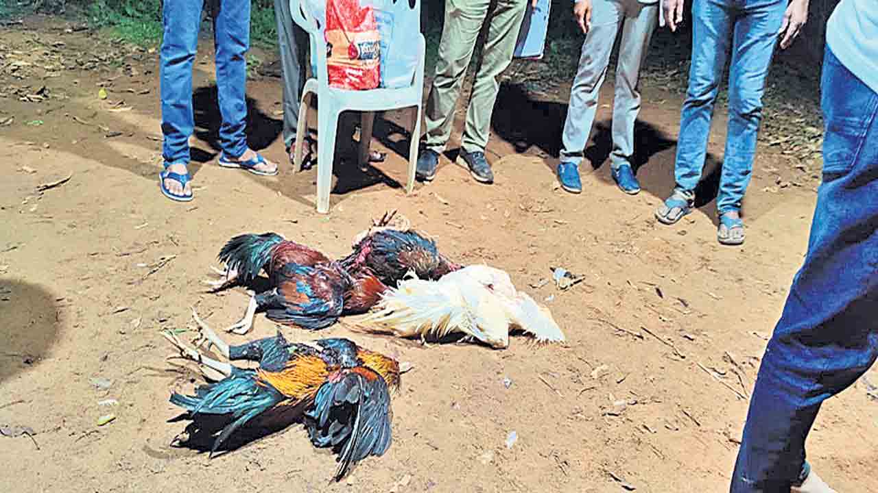 కోడి పందేల స్థావరంపై పోలీసుల దాడి