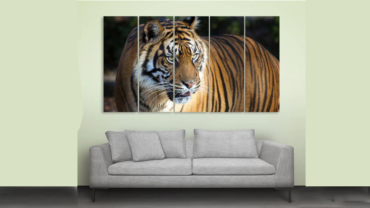 Vasthu Shastra | హాలులో సింహం లేదా పులి బొమ్మలు పెట్టుకోవచ్చా?