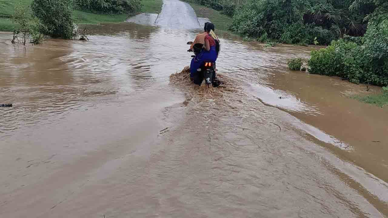 వరుణుడు కరుణించె.. పుడమి పులకించె