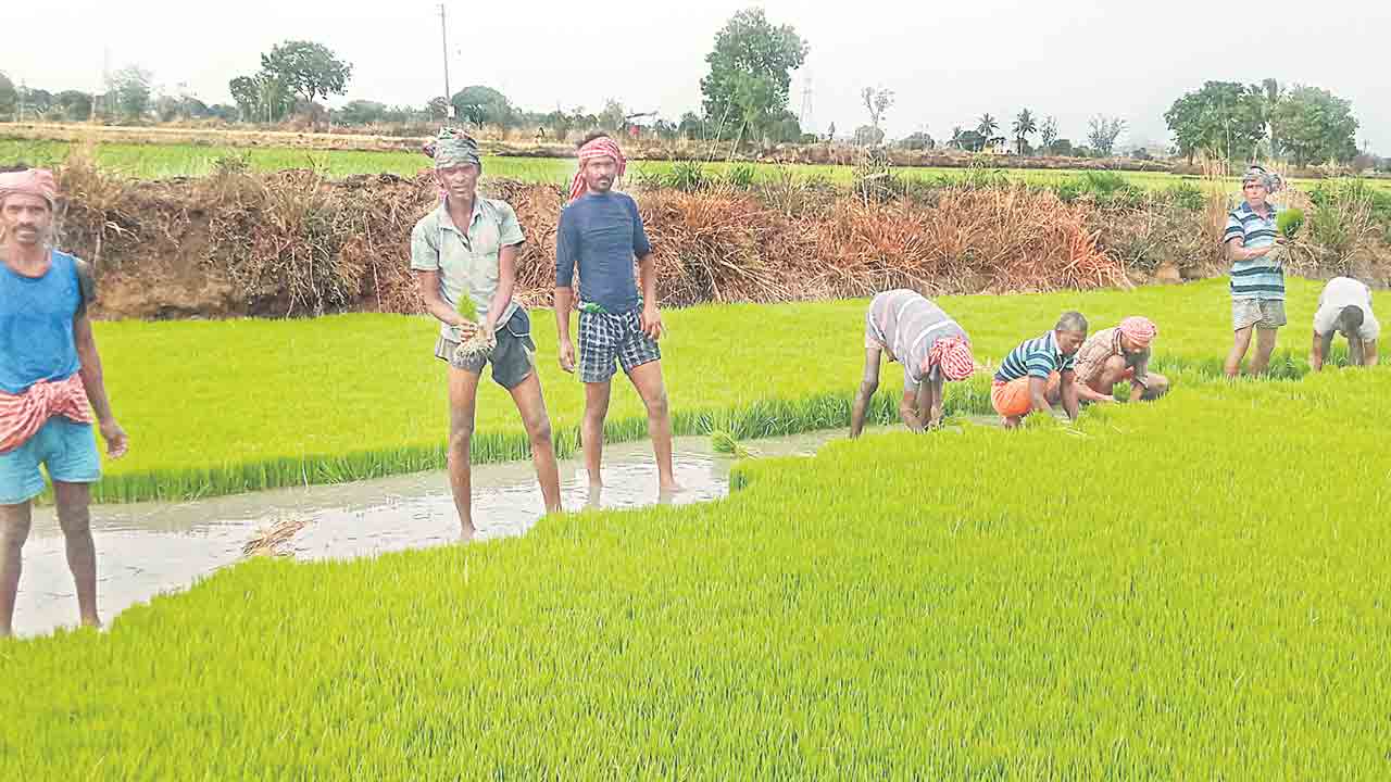 తెలంగాణకు కూలీల వలస బాట