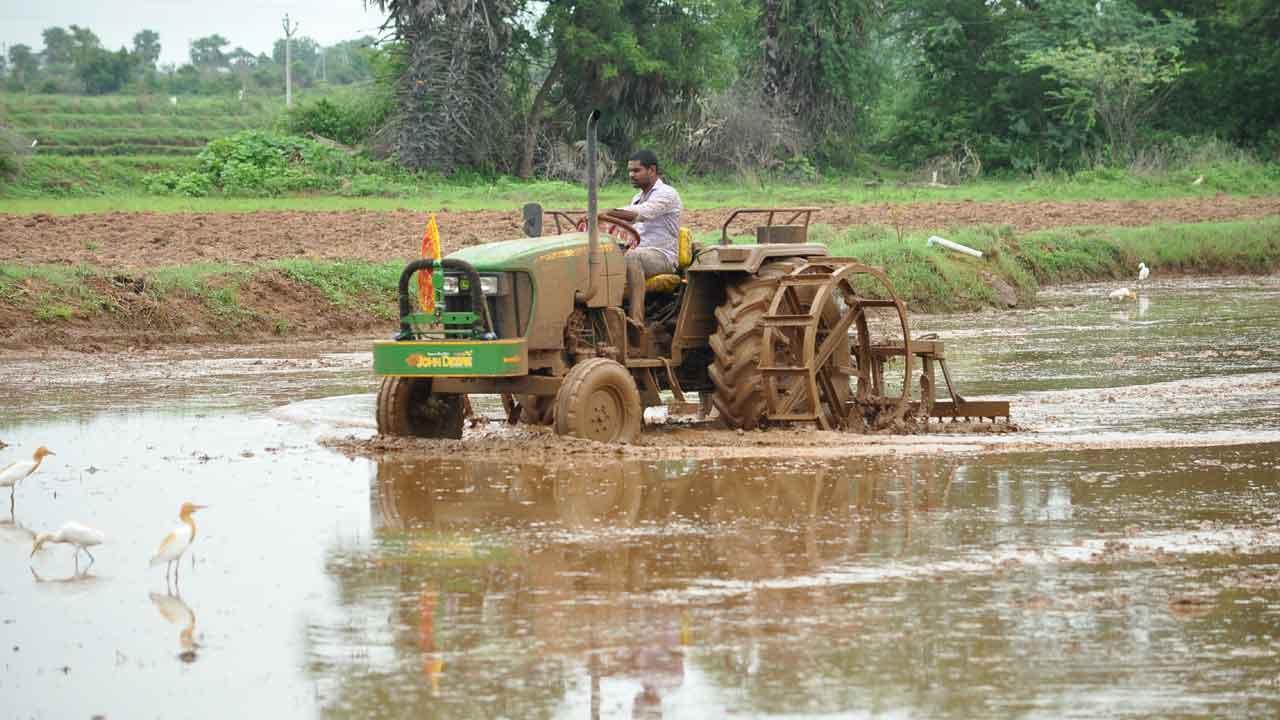వరద వడి..సాగు సందడి