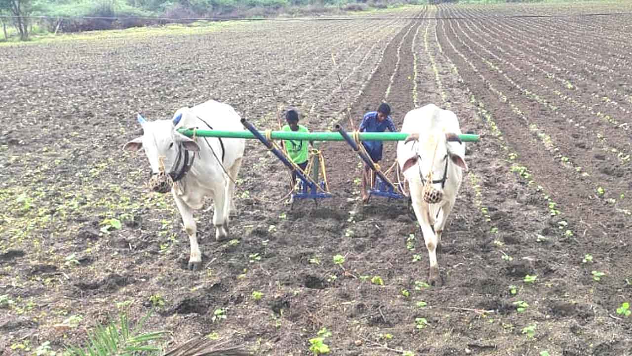 మూసీ ఆయకట్టుకు నీటి విడుదల