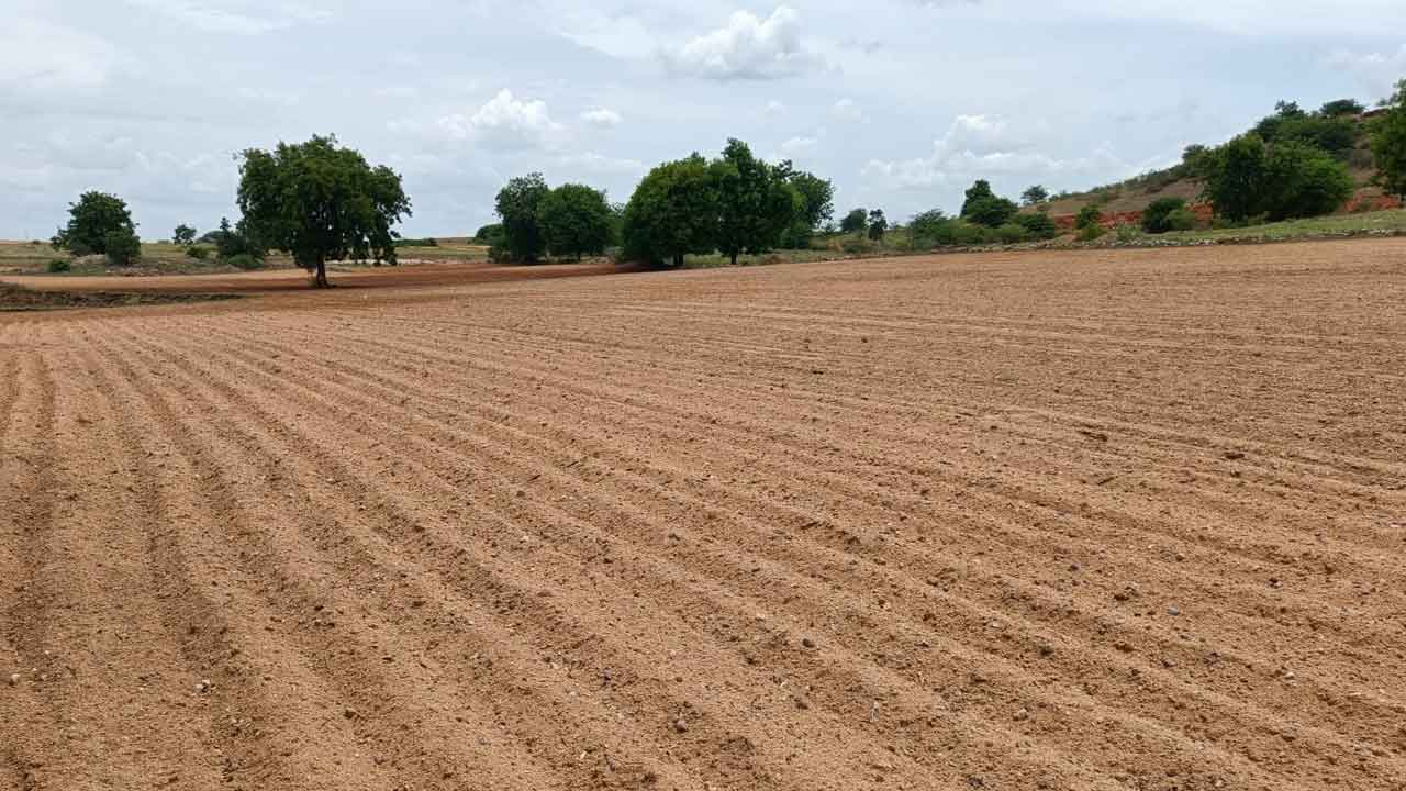 వాణిజ్యపంటల వైపే రైతుల దృష్టి