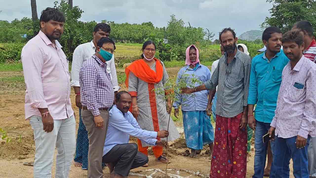 మొక్కల సంరక్షణ అందరి బాధ్యత