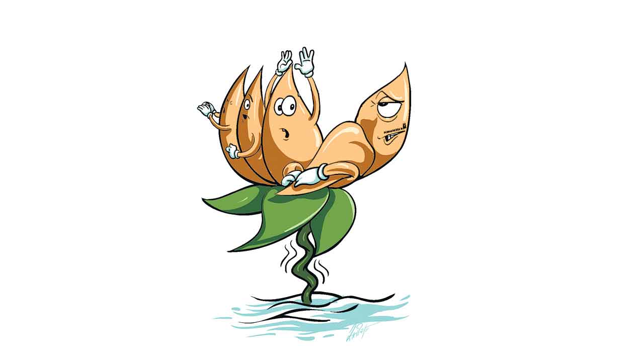 ప్రజాదరణ లేక బీజేపీ ‘గోస’