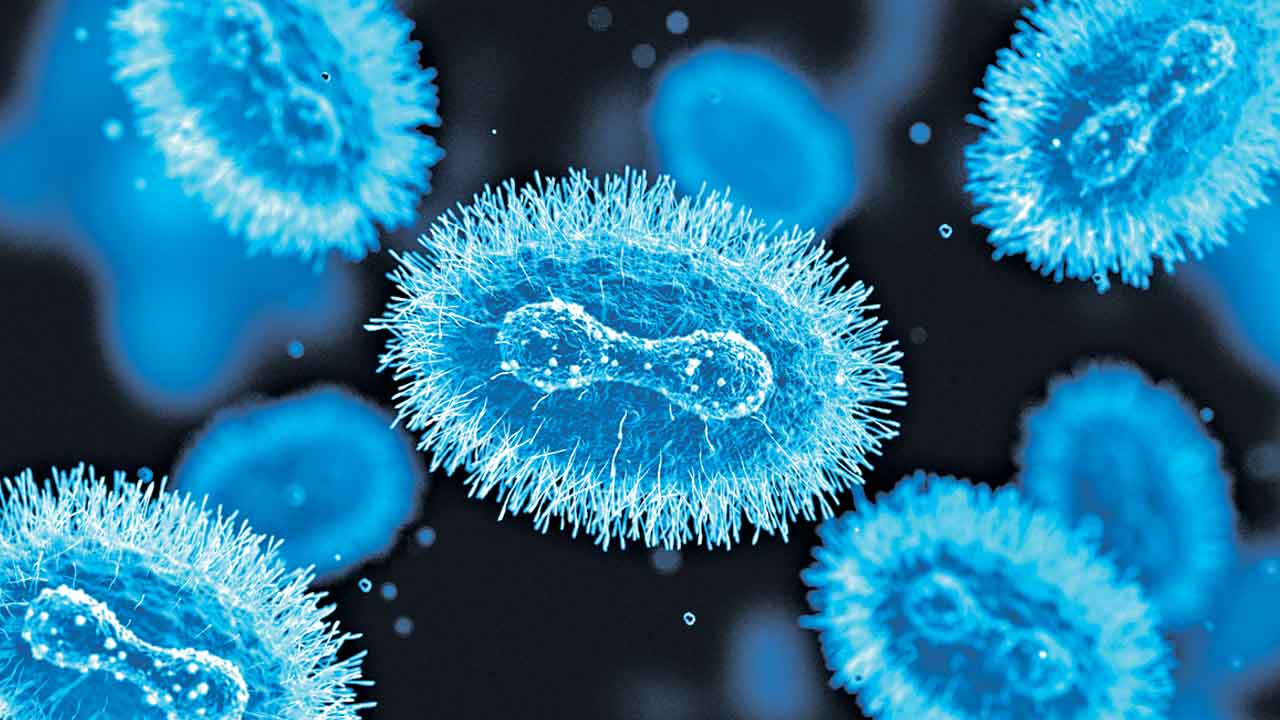 మరో మంకీపాక్స్‌ కేసు