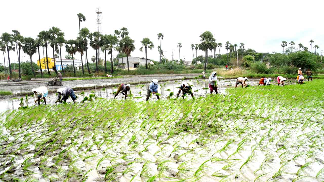 పంట పెట్టుబడికి293.10 కోట్లు