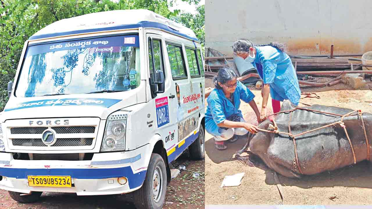 లక్ష పశువులకు వైద్యం