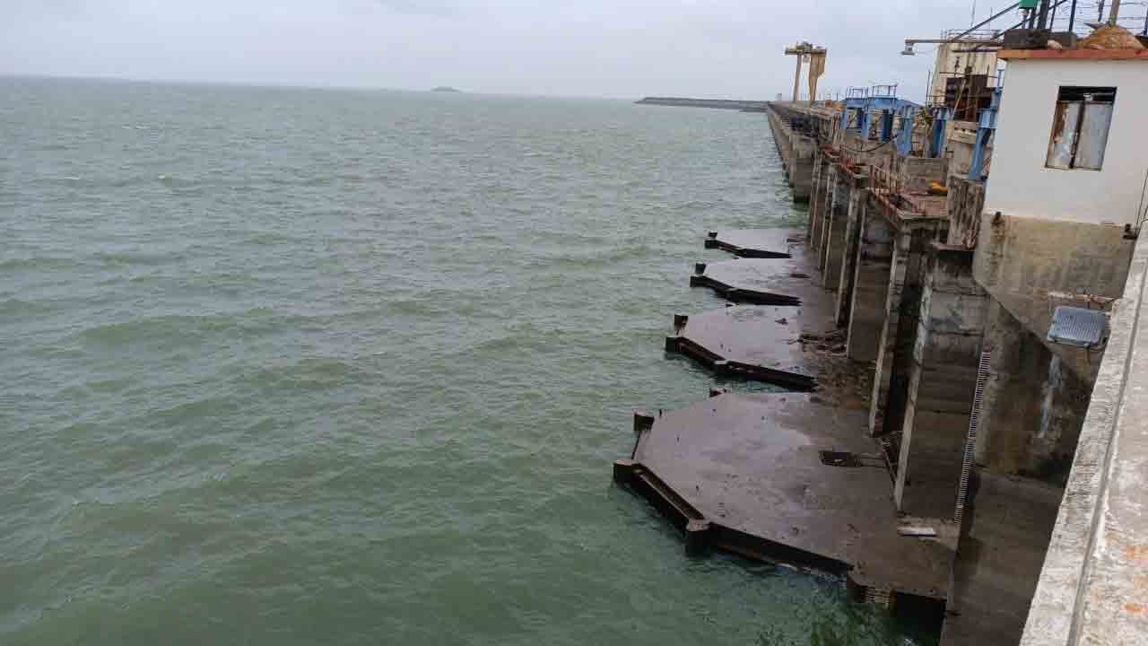 ఉమ్మడి నిజామాబాద్‌ జిల్లాలో విస్తారంగా వానలు