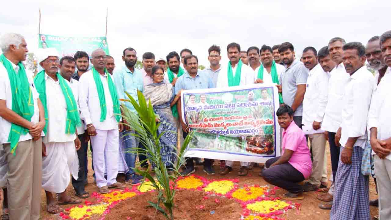 ఆయిల్‌పాం సాగుకు ప్రోత్సాహం