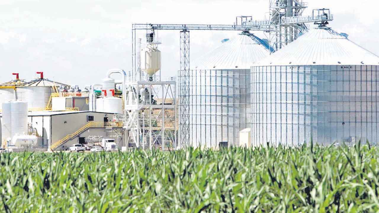 విశ్వవిపణిలోకి మెట్ల చిట్టాపూర్‌