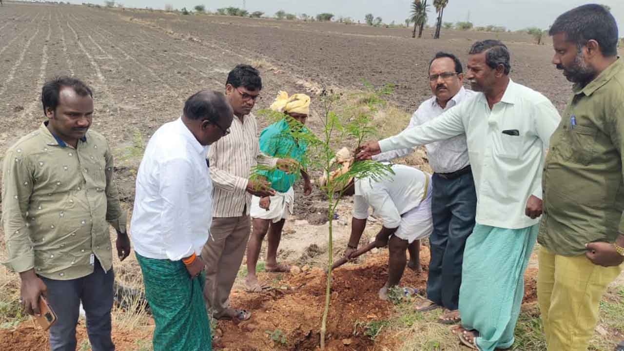 హరితహారానికి సర్వం సిద్ధం