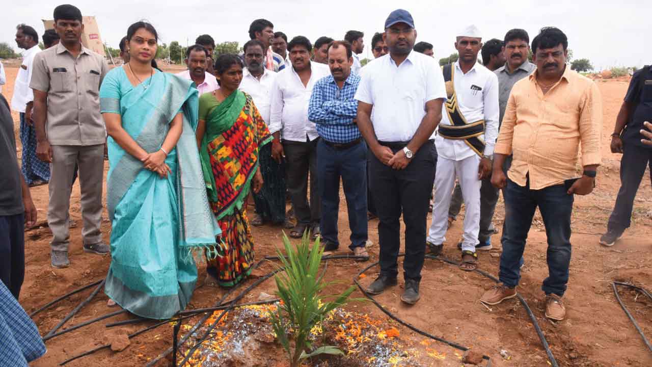 ఆయిల్‌పాం సాగు ముమ్మరం