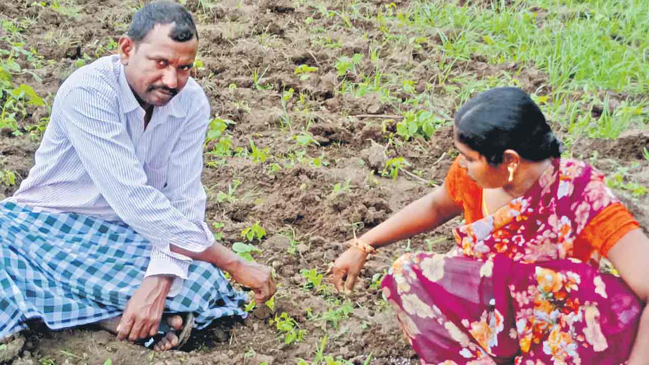 తల్లీ నిను దలంచి..