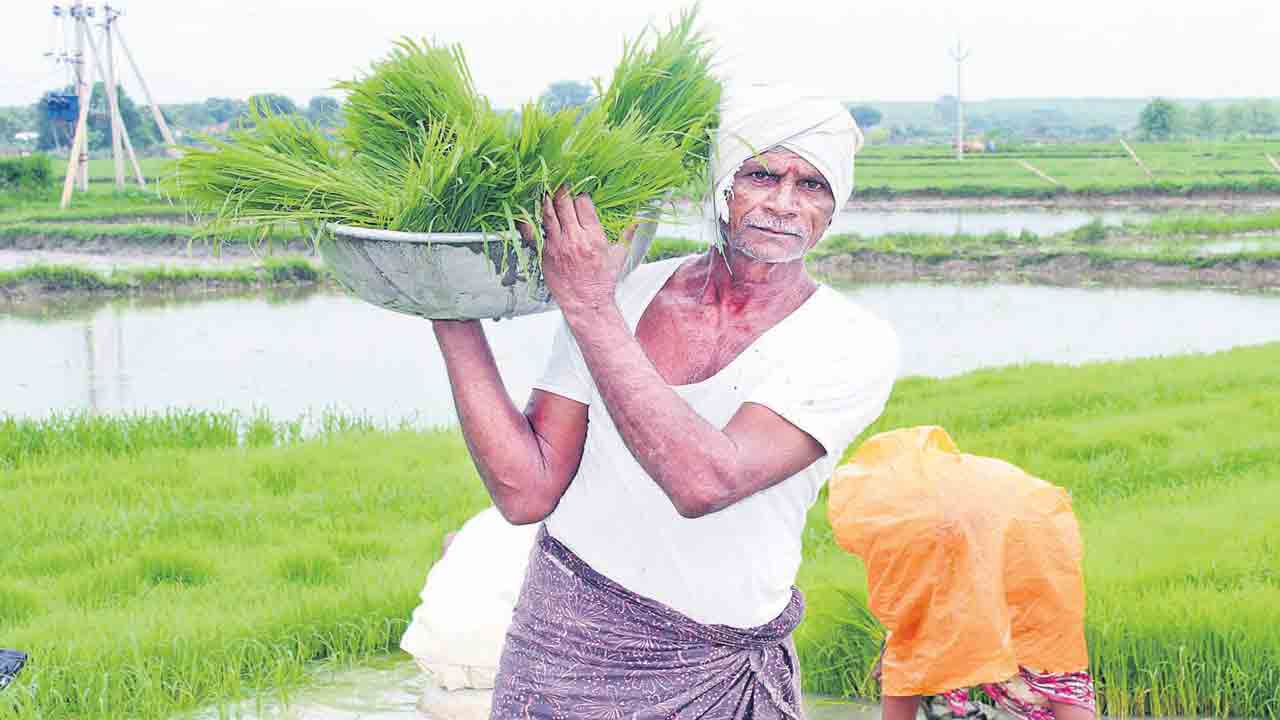వర్షం నుంచి పంటల్ని రక్షించుకుందాం