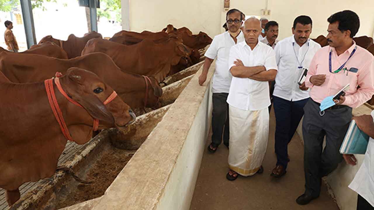 దేశంలోనే ఆద‌ర్శ గోశాల‌గా ఎస్వీ గోశాలను తీర్చిదిద్దుతాం : ఈవో