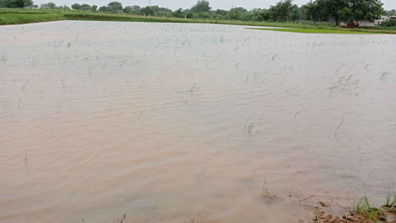 సాగుకు భరోసా..