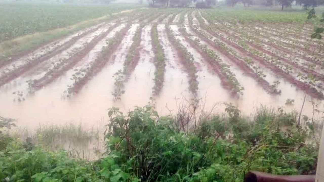 ముసురేసింది..