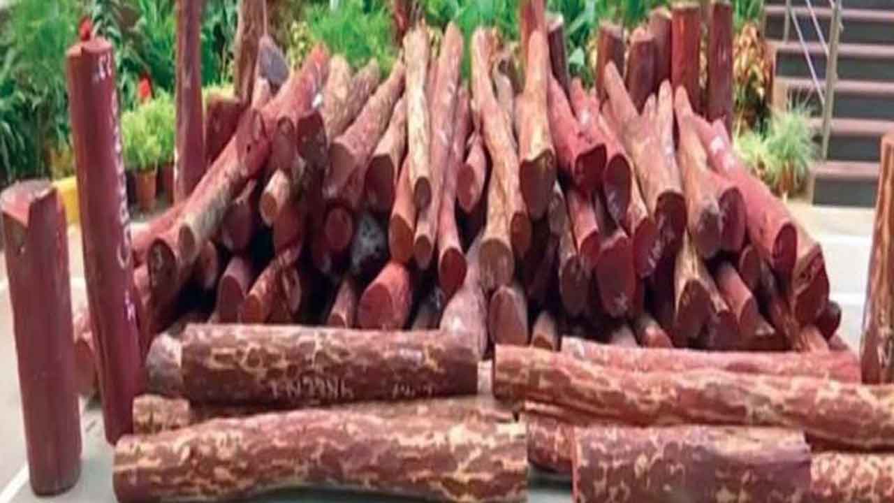 వైఎస్సార్‌ జిల్లాలో ఎనిమిది మంది ఎర్రచందనం స్మగ్లర్ల అరెస్టు