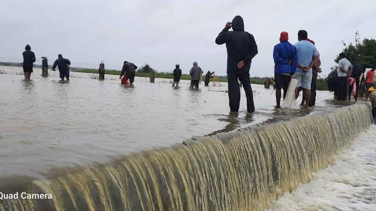 తెరిపివ్వని వాన