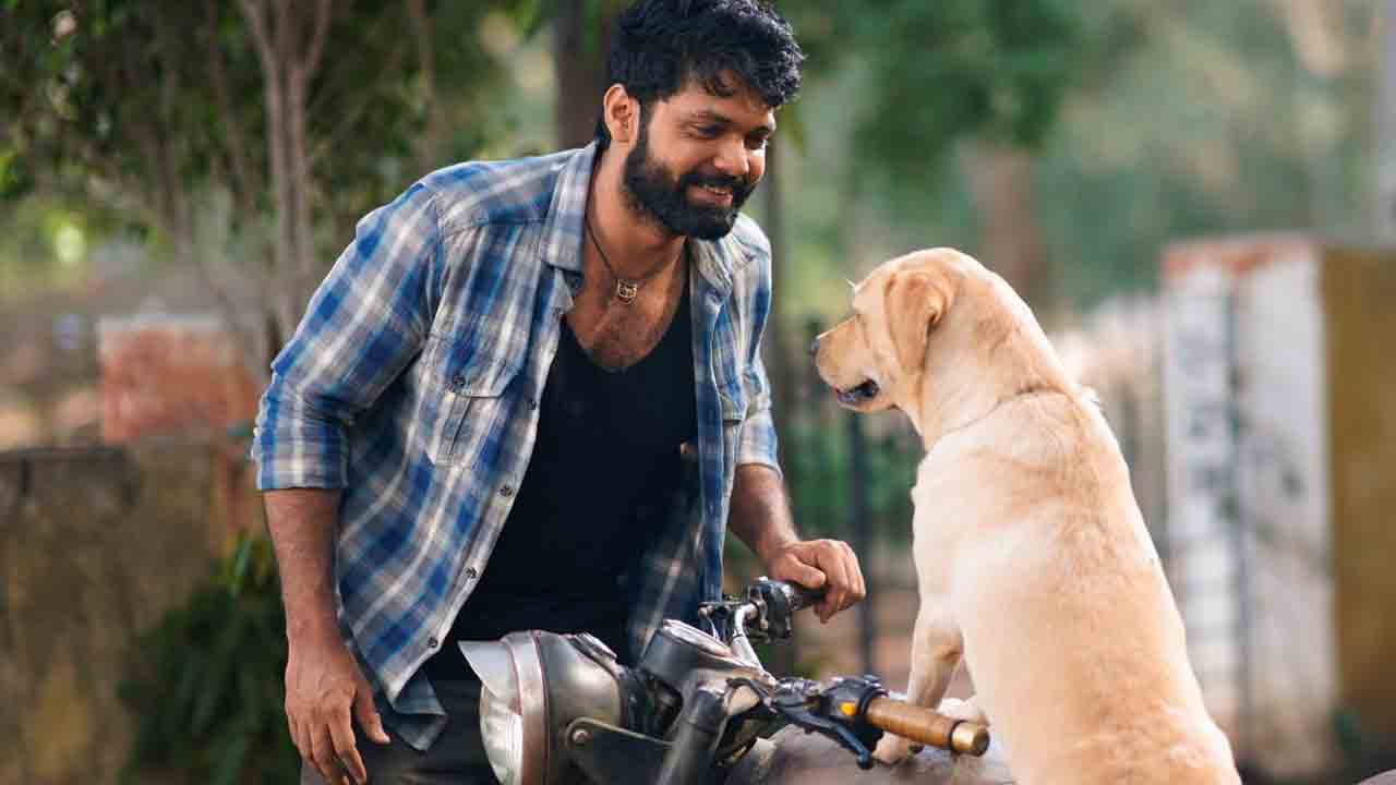 777 Charlie | గెట్‌ రెడీ.. 777 చార్లీ తెలుగు వెర్షన్‌ టీవీ ప్రీమియర్ డేట్ ఫిక్స్‌