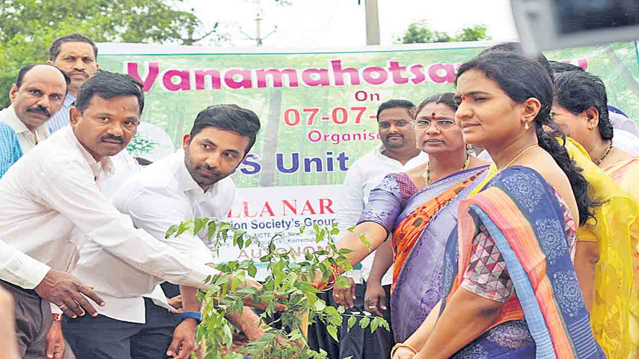 మొక్కలు నాటి సంరక్షించాలి