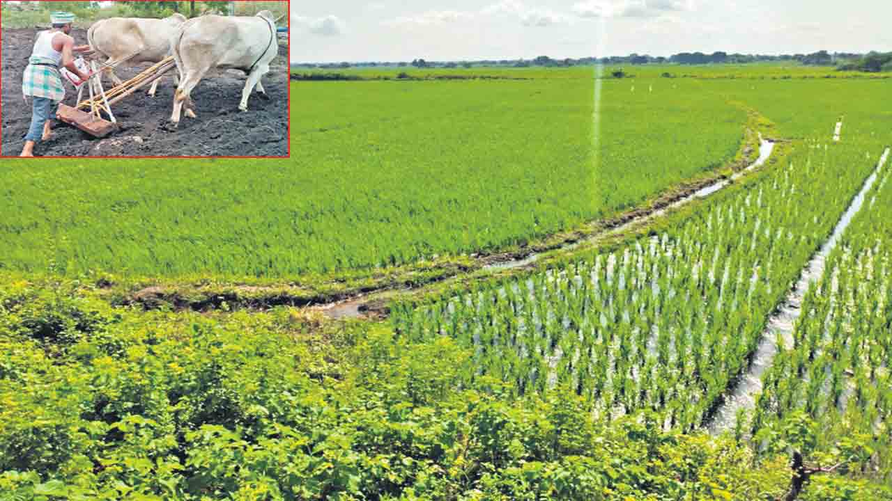 ఎవుసం ఎదిగింది..!