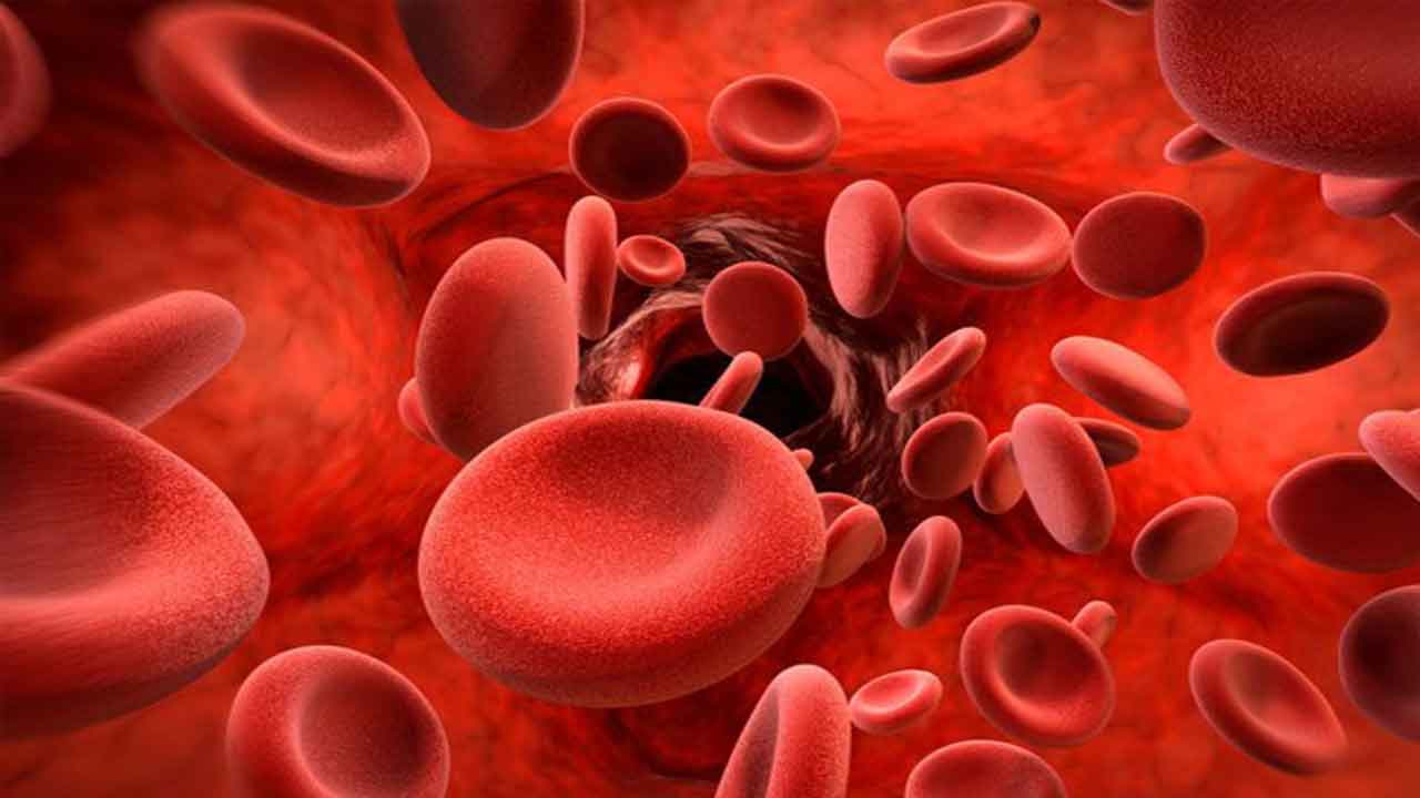 Anaemia | మీలో రక్తహీనత ఉందా..? దాని లక్షణాలివే..!