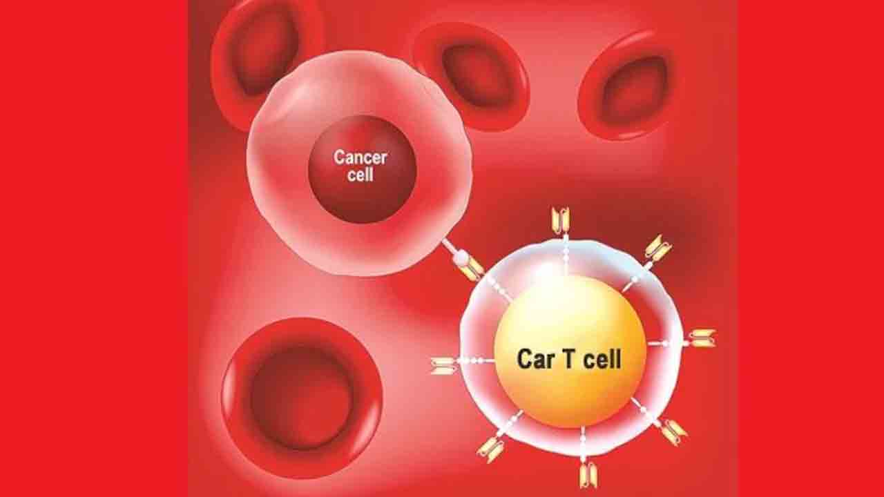 అగ్గువకే బ్లడ్‌ క్యాన్సర్‌ చికిత్స!