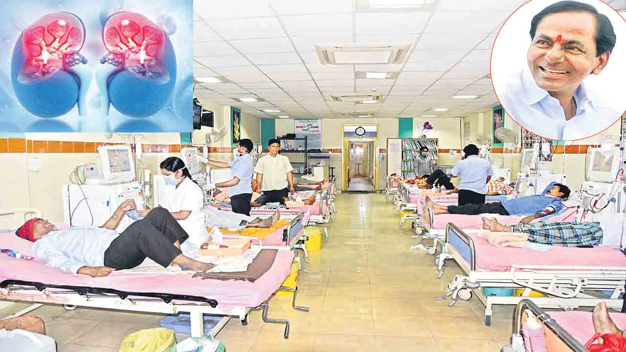 ప్రాణానికి భరోసా