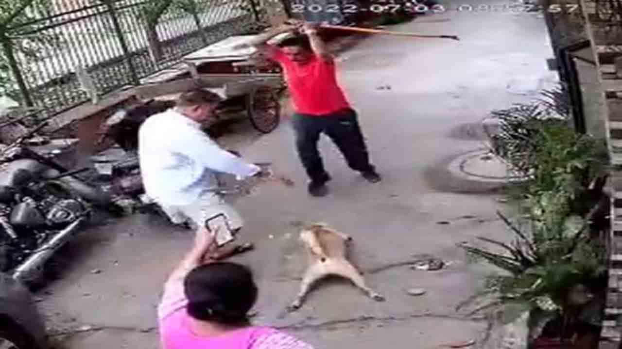 Video: కుక్క మొరగడంపై వ్యక్తి చిరాకు… కుక్కతోపాటు పొరుగువారిపై రాడ్‌తో దాడి