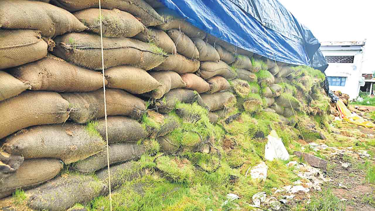 తడిసిన ధాన్యం సంగతేంటి?