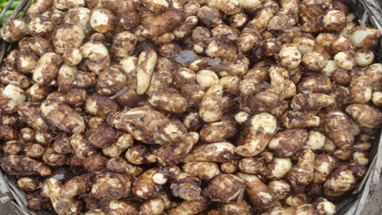 Taro root | చామదుంపలు తినండి.. ఈ ప్రయోజనాలు పొందండి..!