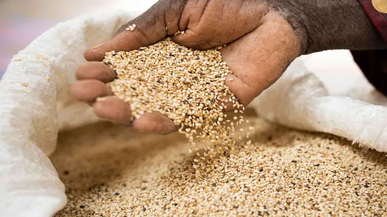 Handful sesame | రోజూ గుప్పెడు నువ్వులు తింటే.. మేలా..? కీడా..?