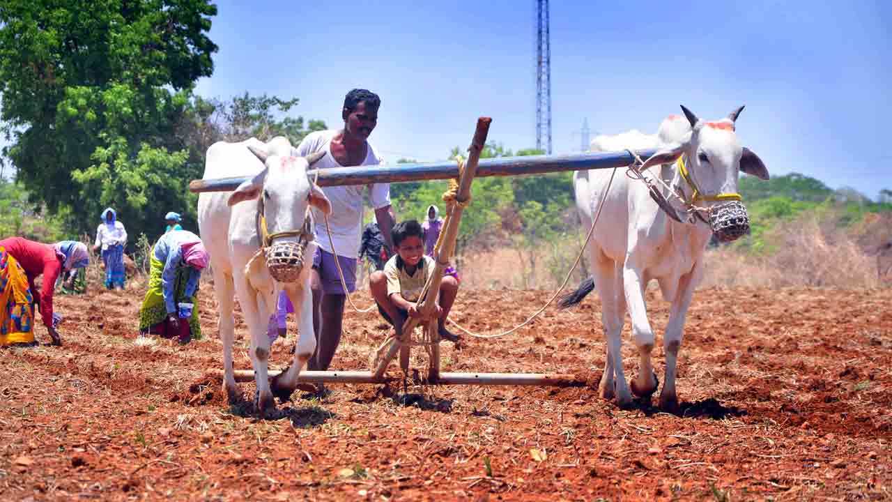 తెలంగాణ కిసాన్‌ తాఖత్‌ కా నిషాన్‌