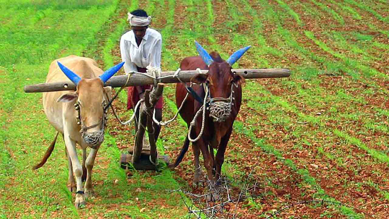 చెమట గంధం